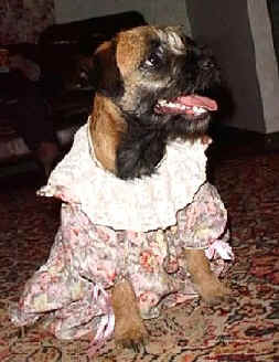 Jolihem Lady Be Good