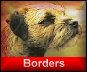 Click for Border Terriers