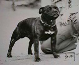 lucy1.jpg (11123 bytes)
